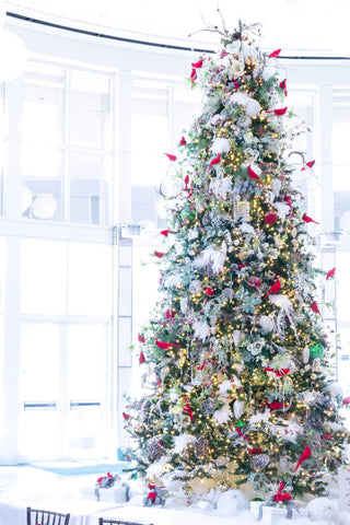Festival of Trees: Opening Tree-View Party, Orlando Museum of Art