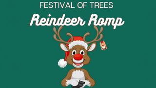 Reindeer Romp VIP Pass - FOT